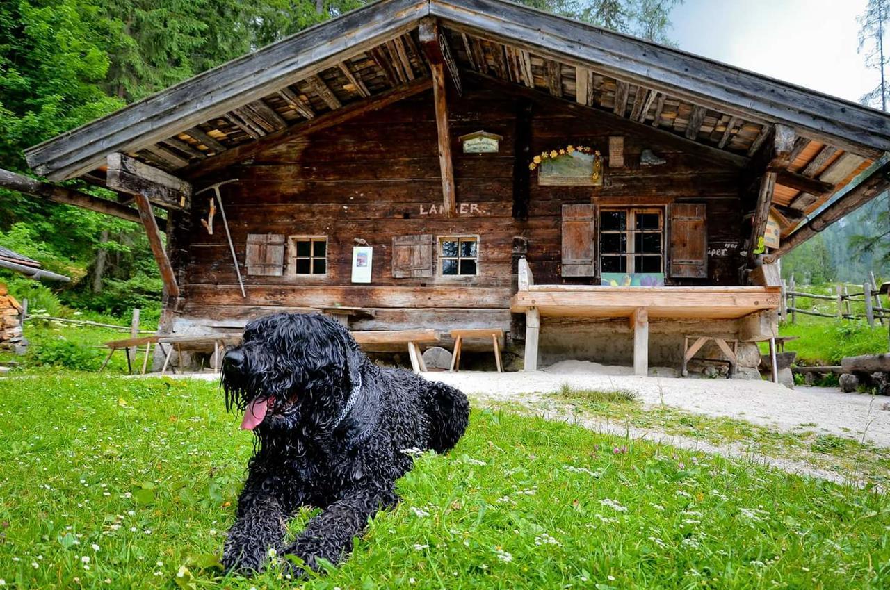 Pension Greti Schönau am Königssee Екстериор снимка